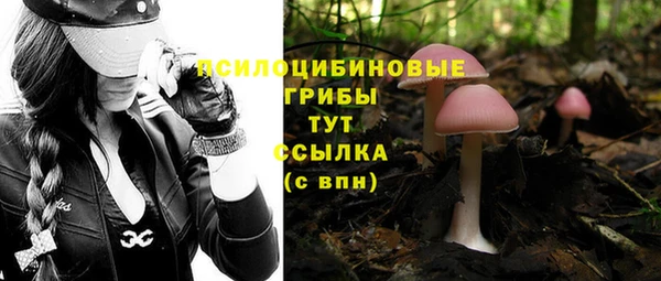 герыч Нефтегорск