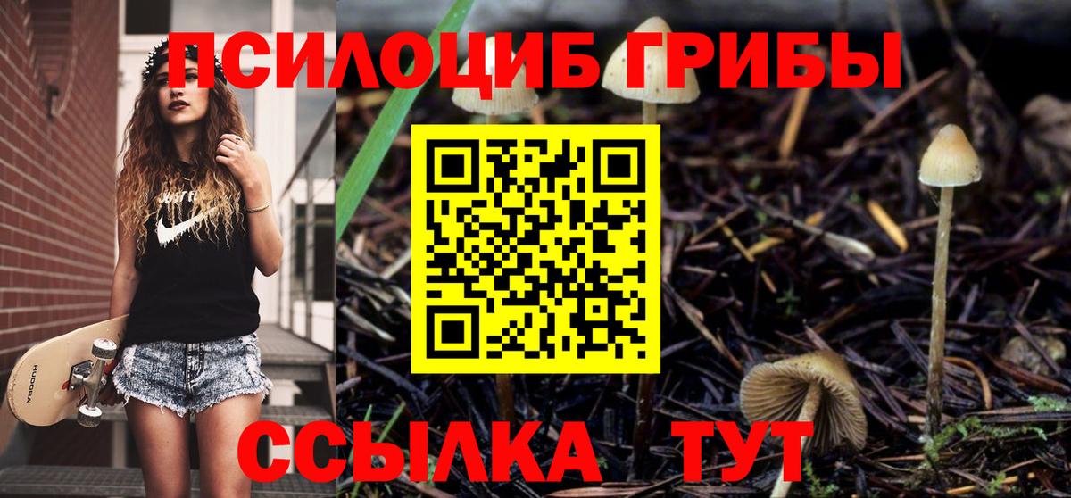 Галлюциногенные грибы MAGIC MUSHROOMS  Салават 