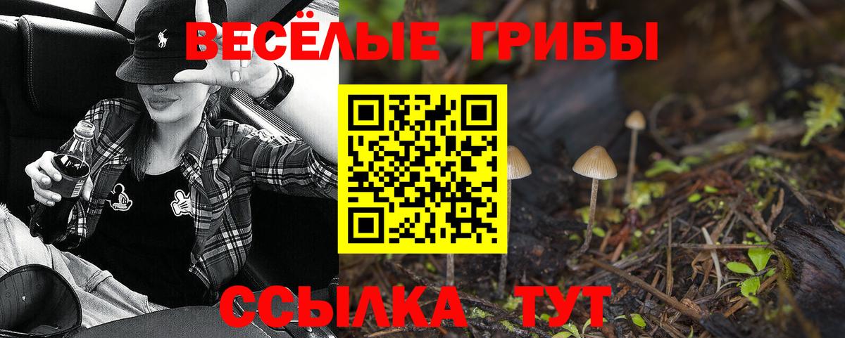 Псилоцибиновые грибы ЛСД Салават